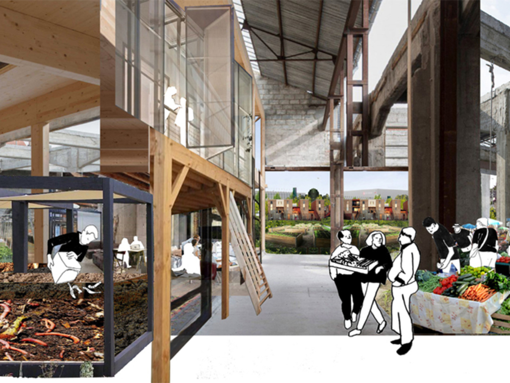 Cultivating the city or the lessons from the worm