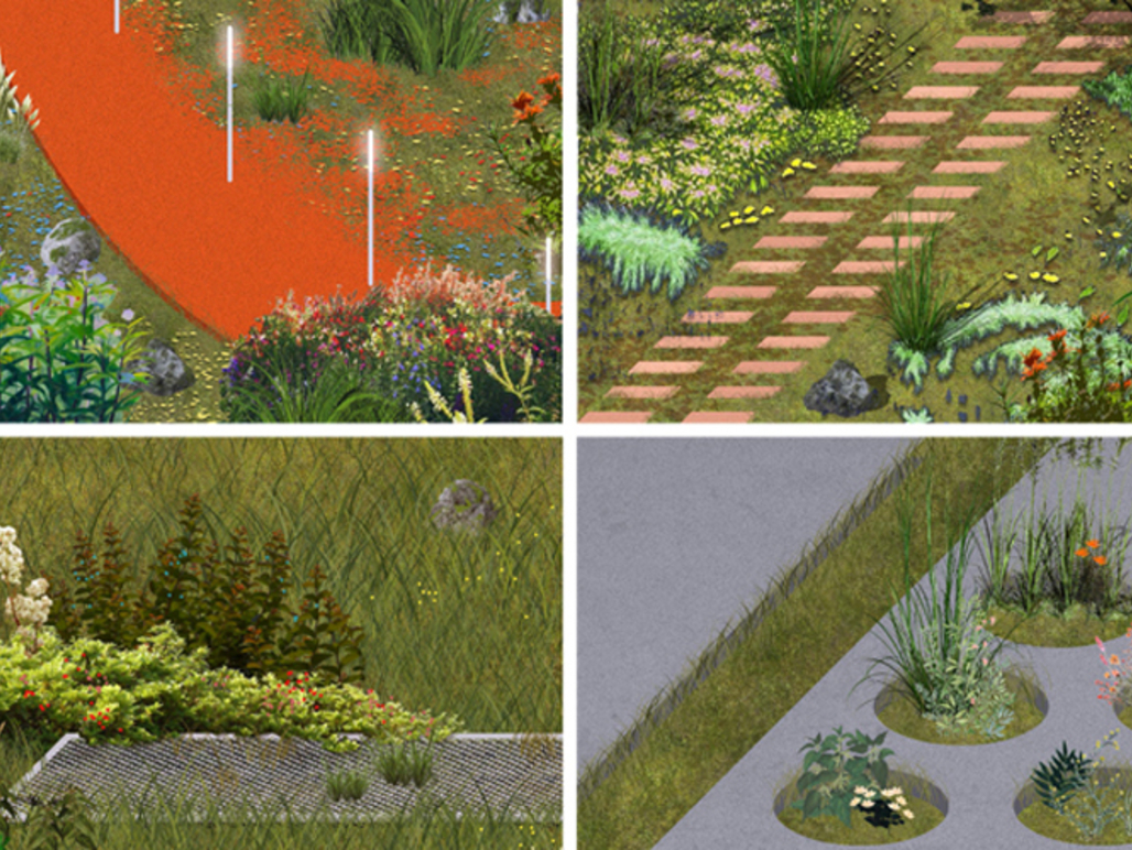 A non-binary ecology