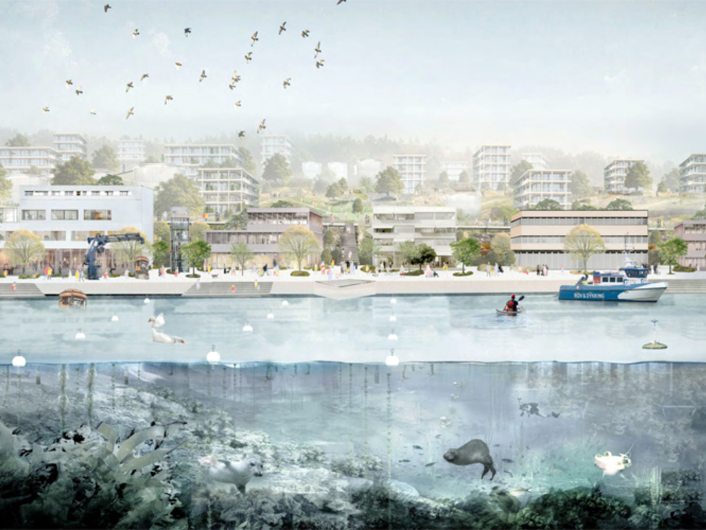 Living city, living sea
