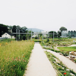 Multilayer public spaces