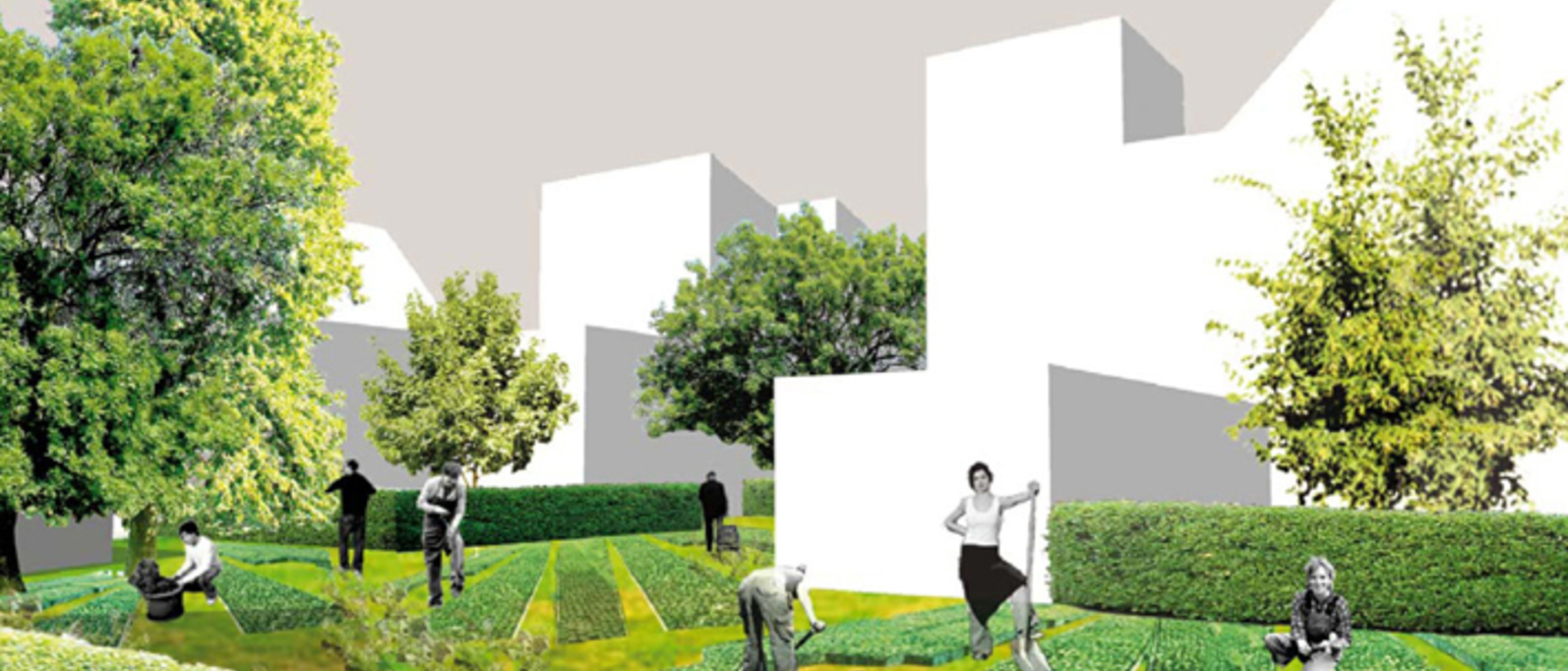 Garden>Courtyard