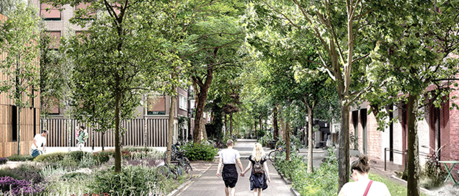 The Park That Reaches Every Home