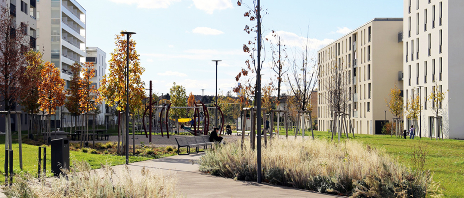 Cluster / Streetscape