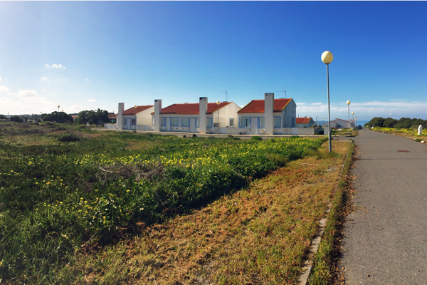 Polvo Street