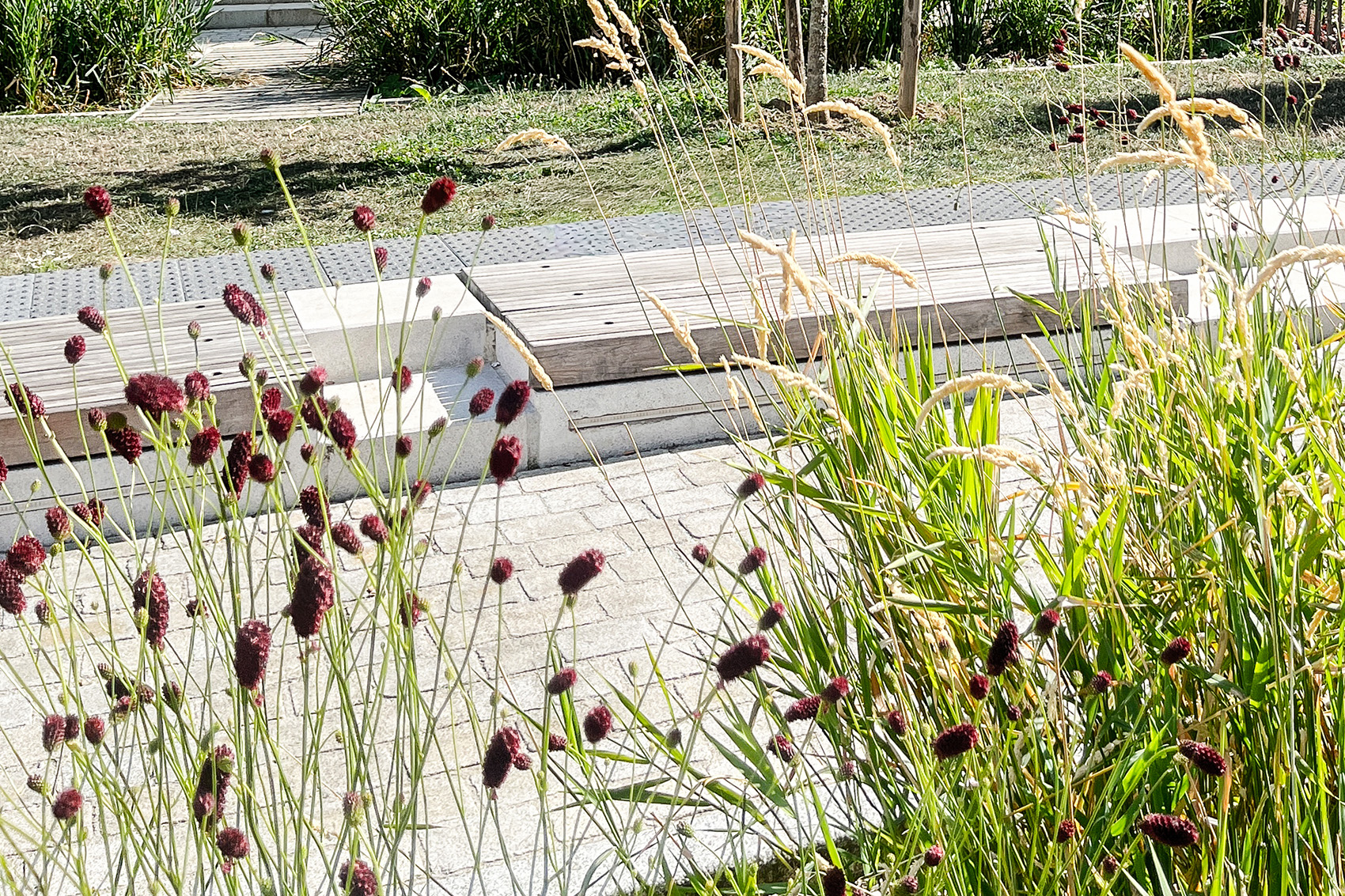 Légende de l'image 2